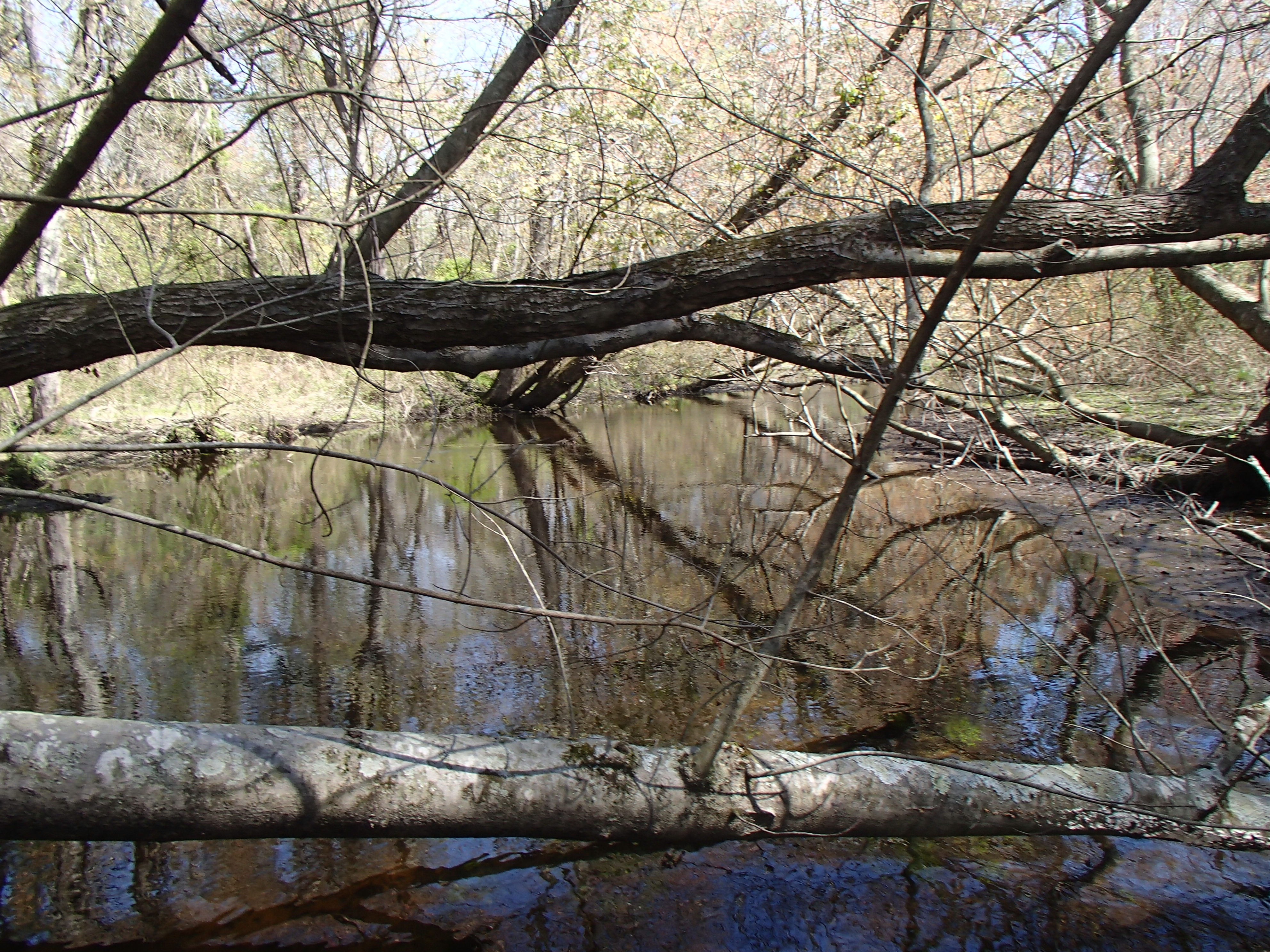 Field photo showing stream conditions at site WIRH-220-S-2016_midpoint looking upstream